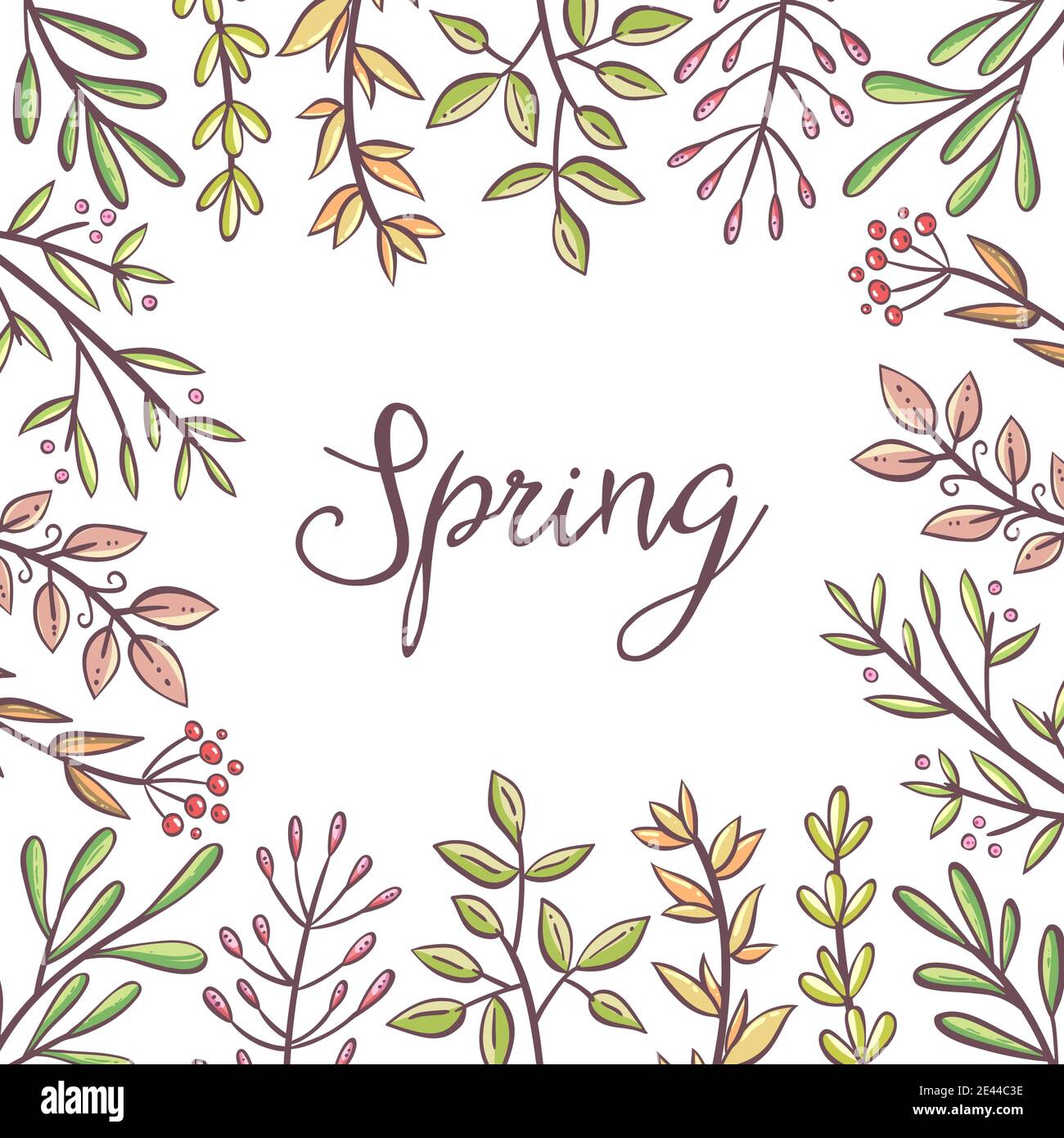 Carte à ressort. Feuilles et baies dessinées à la main isolées sur fond blanc. Modèle de carte à motif fleuri. Illustration vectorielle. Illustration de Vecteur