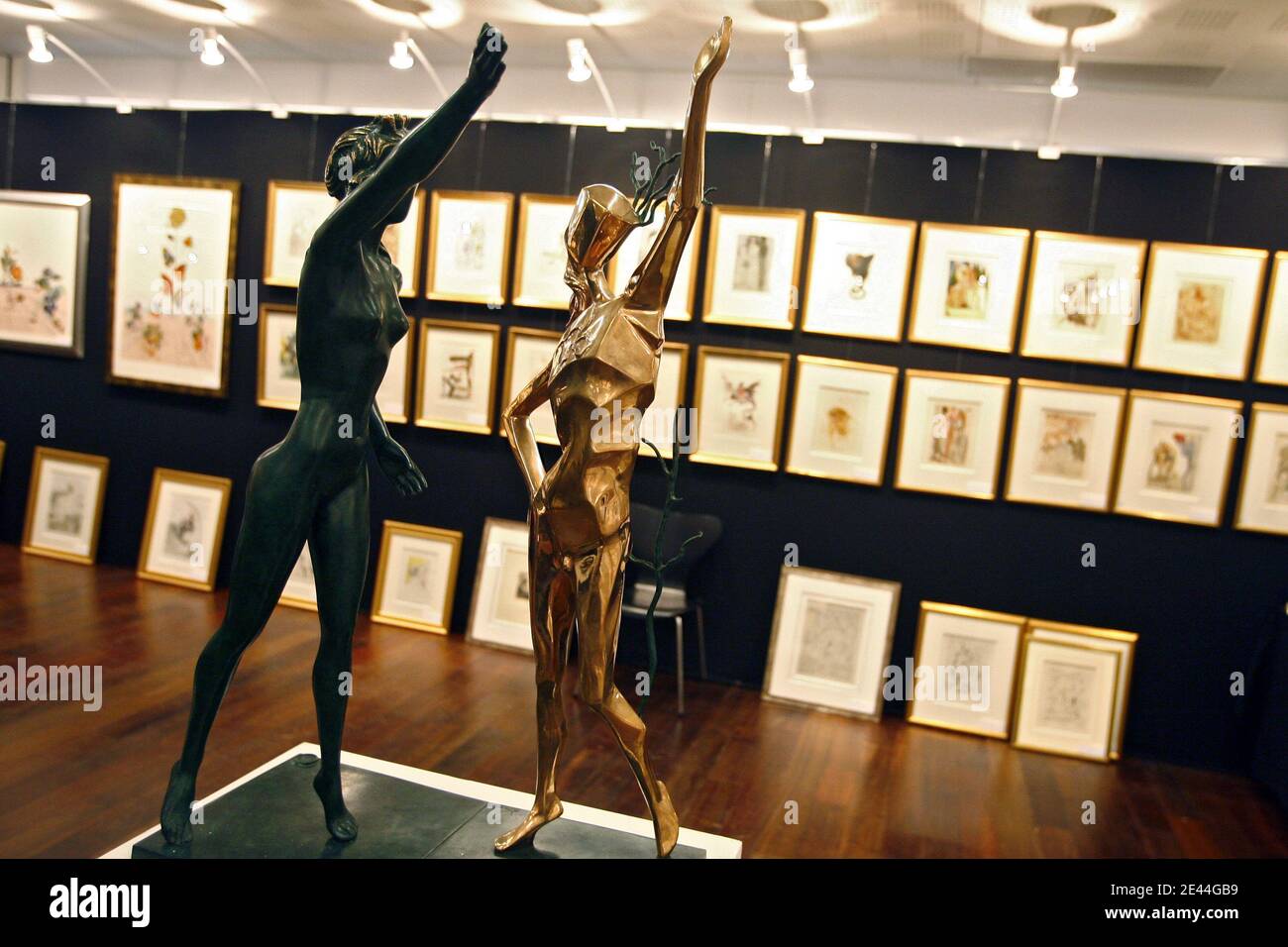 L'exposition est organisée en collaboration avec Francisco Goya et Salvador Dali du 1er mai au 7 juin au Grand Palais de Lille, dans le Nord de la France, le 4 mai 2009. L'occasion de découvrir les destins parallèles de ces deux artistes, que tous les sépare, que tous les b Banque D'Images