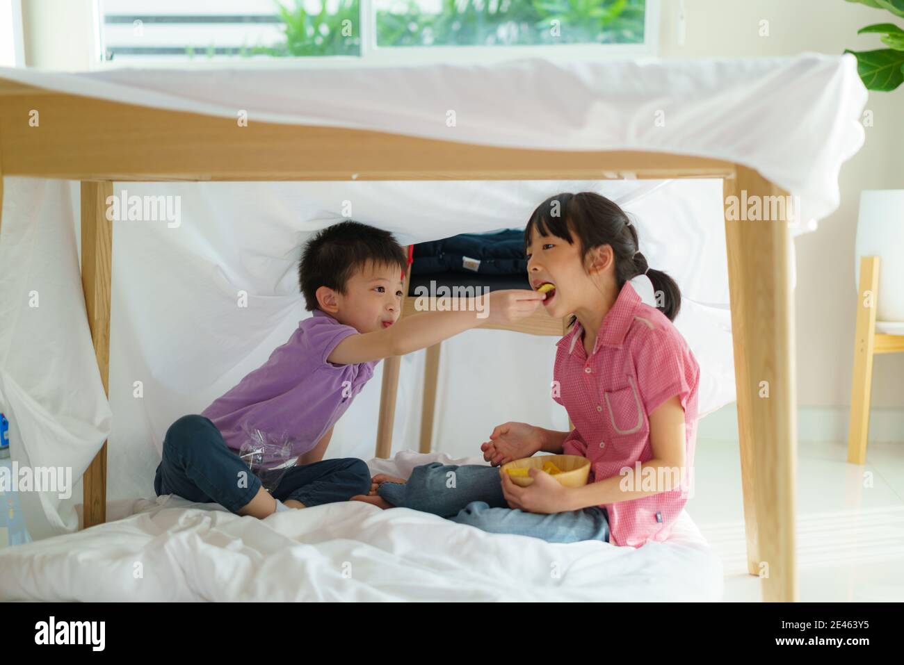 Petit garçon asiatique mignon nourrissant un en-cas à sa sœur sœur sœur tout en étant assis dans une couverture fort dans le salon à la maison pour un refuge parfait loin de leur o Banque D'Images