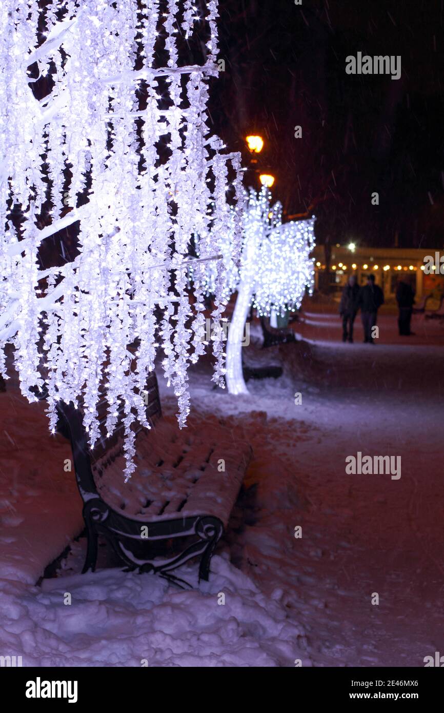 Guirlande lumineuse de lampes LED dans un parc enneigé la nuit. Guirlandes sous forme d'arbres Banque D'Images