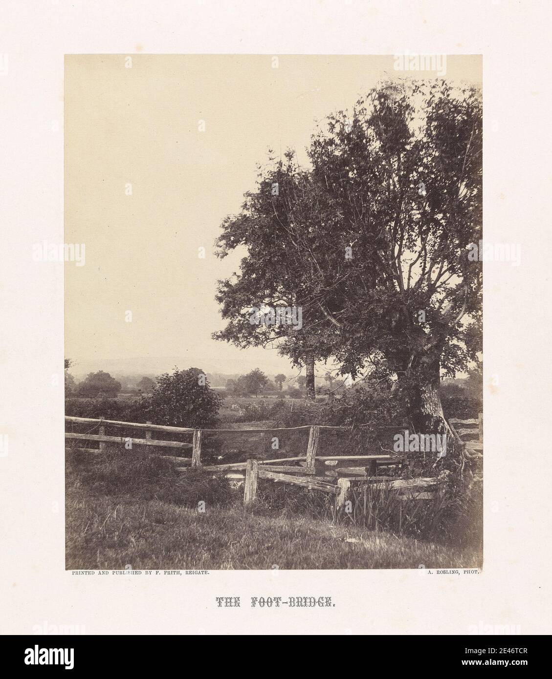 Alfred Rosling, 1802 environ 1880, British, The foot-Bridge, 1860. Impression d'albumine de collodion humide négatif sur papier fin, lisse, crème. Paysage , arbre Banque D'Images