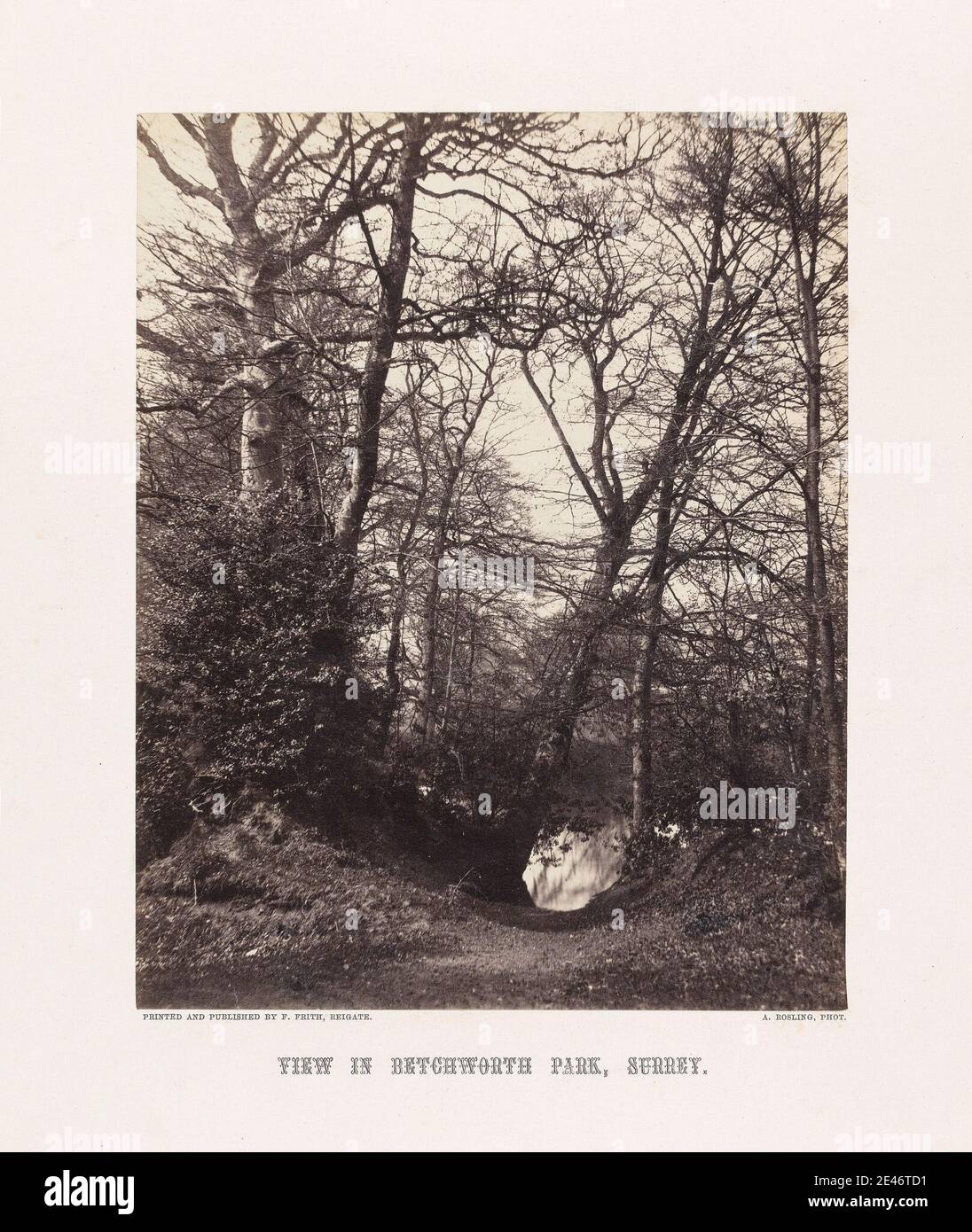 Alfred Rosling, 1802 environ 1880, British, View in Betchworth Park, Surrey, 1860. Impression d'albumine de collodion humide négatif sur papier fin, lisse, crème. Paysage , arbres. Betchworth , Angleterre , Surrey , Royaume-Uni Banque D'Images