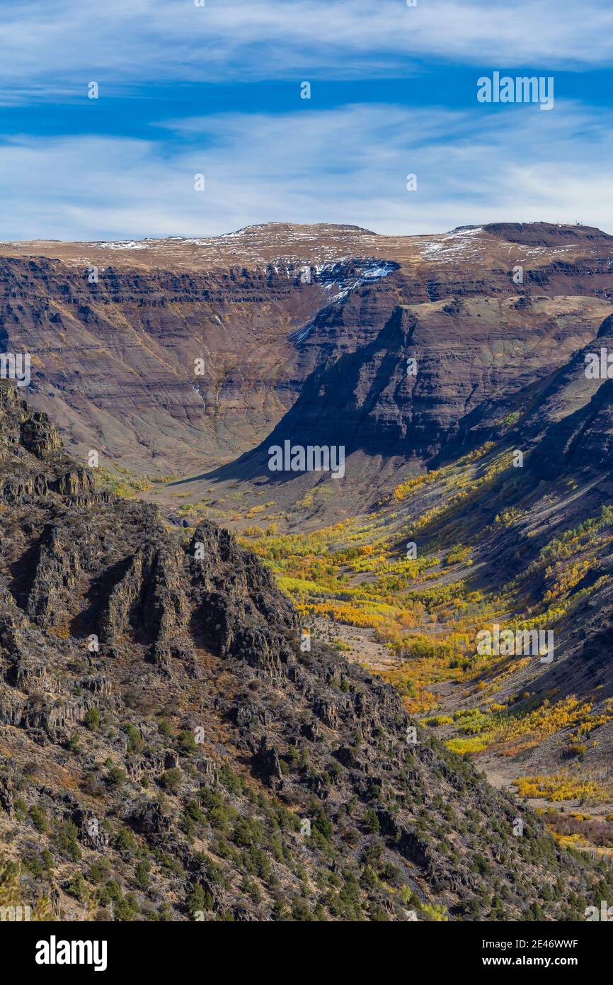 Vue sur les grandes gorges indiennes sculptées dans les glaciers sur Steens Mountain, Oregon, États-Unis Banque D'Images