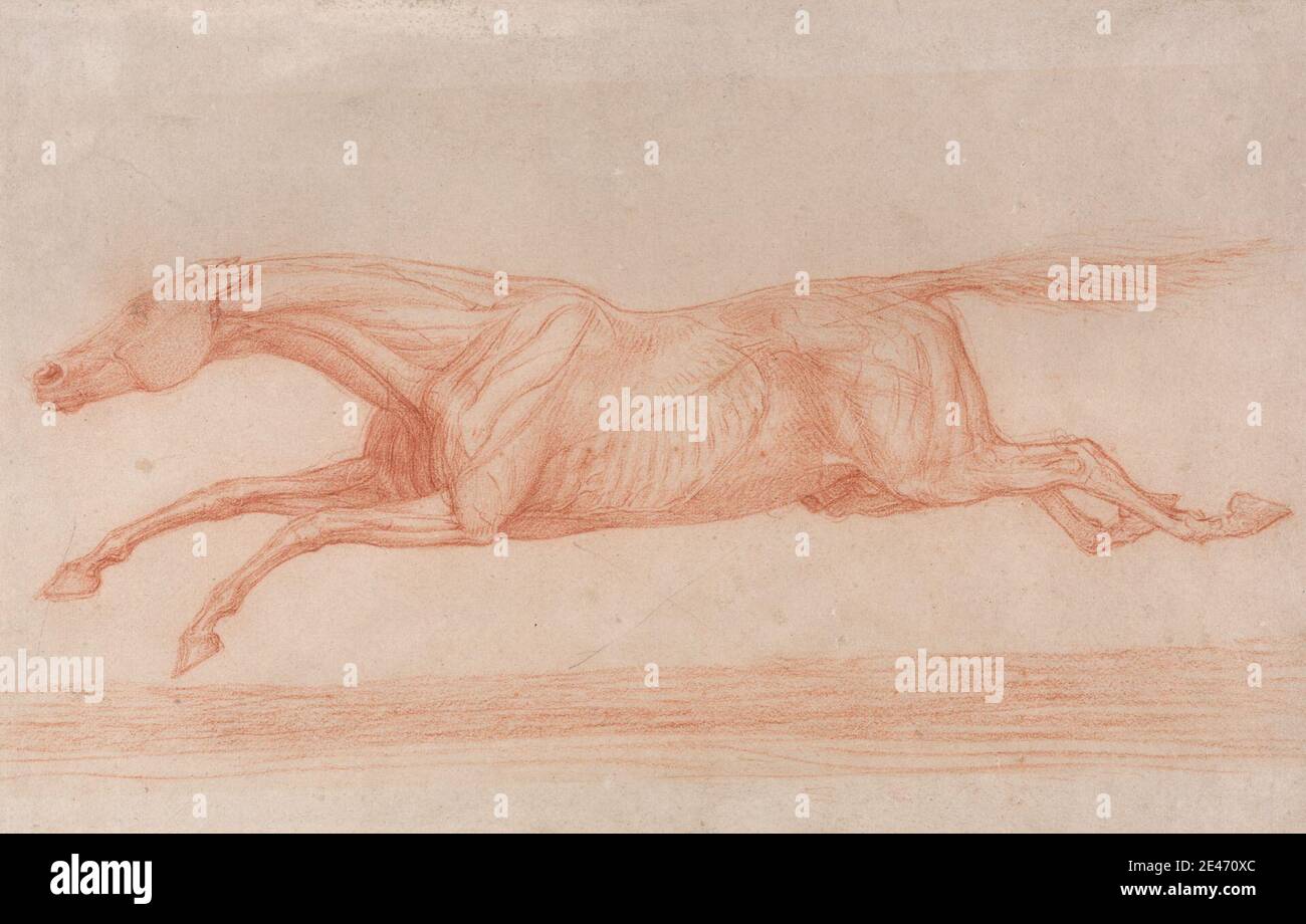 George Stubbs, 1724–1806, britannique, Etude d'un cheval de course en action : galopant vers la gauche, une étude semi-anatomique, avec la peau laquée pour montrer l'action des muscles, non daté. Craie rouge et graphite sur papier de vélin fin, lisse et crème. étude de figure , cheval (animal) , étude (travail visuel) , queue (suspendu) Banque D'Images