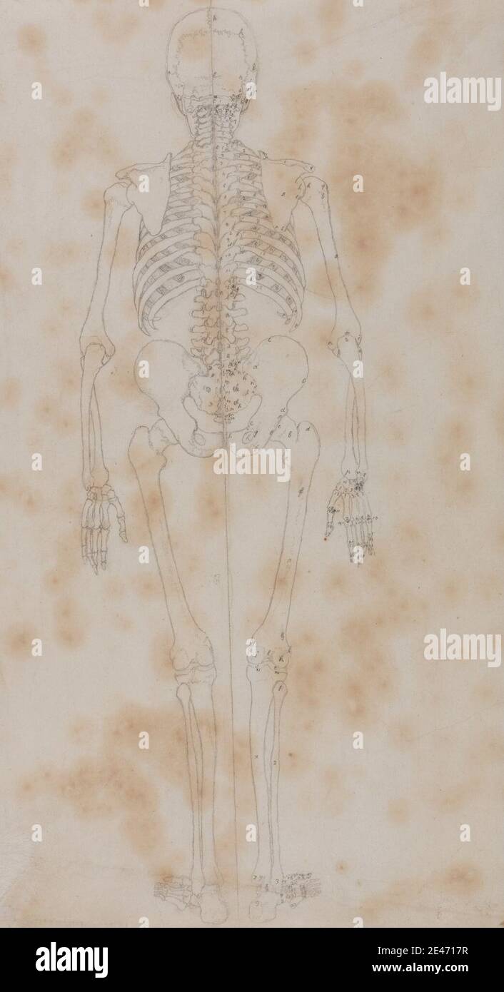 George Stubbs, 1724–1806, britannique, squelette humain, vue postérieure (peut-être la première des études du squelette), 1795 à 1806. Graphite sur crème, mince, lisse, papier vélin. Étude anatomique , anatomie , dos , étude de figure , homme , squelette , peau , rachis Banque D'Images