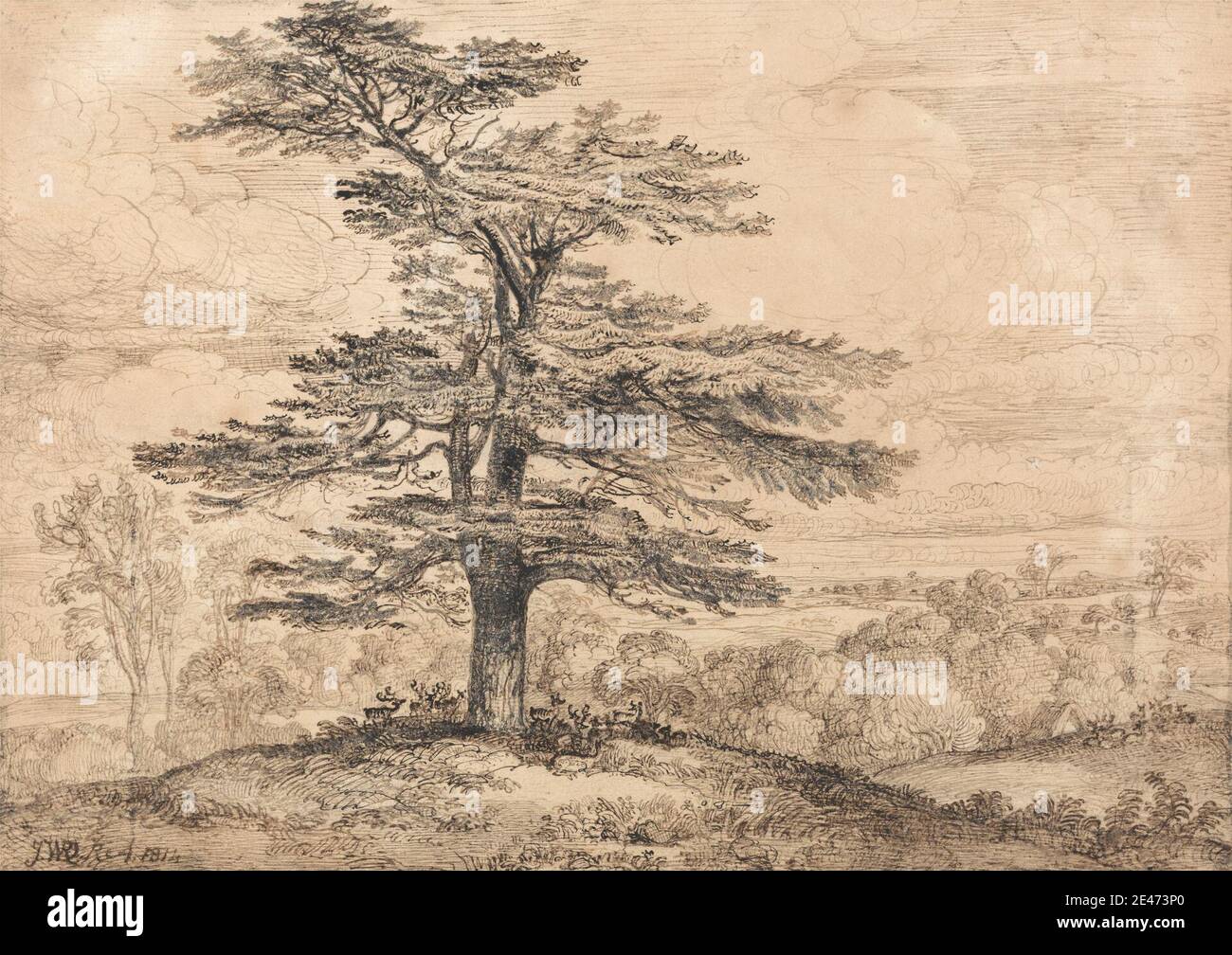 James Ward, 1769–1859, British, UN cèdre sur une élévation avec un troupeau de cerfs regroupés sous son ombre, 1814. Encre brune et graphite sur papier vélin moyen, lisse et beige. cèdre , cerf , troupeau , paysage , ombre , arbres Banque D'Images