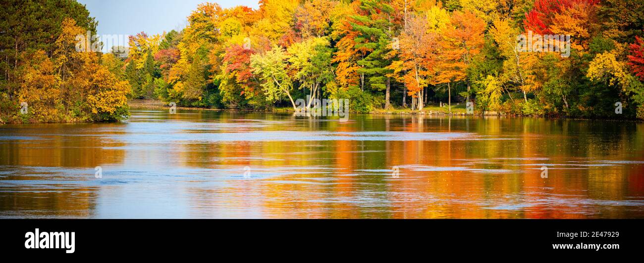 Arbres d'automne colorés se reflétant au large de la rivière Wisconsin à Merrill, Wisconsin, panorama Banque D'Images