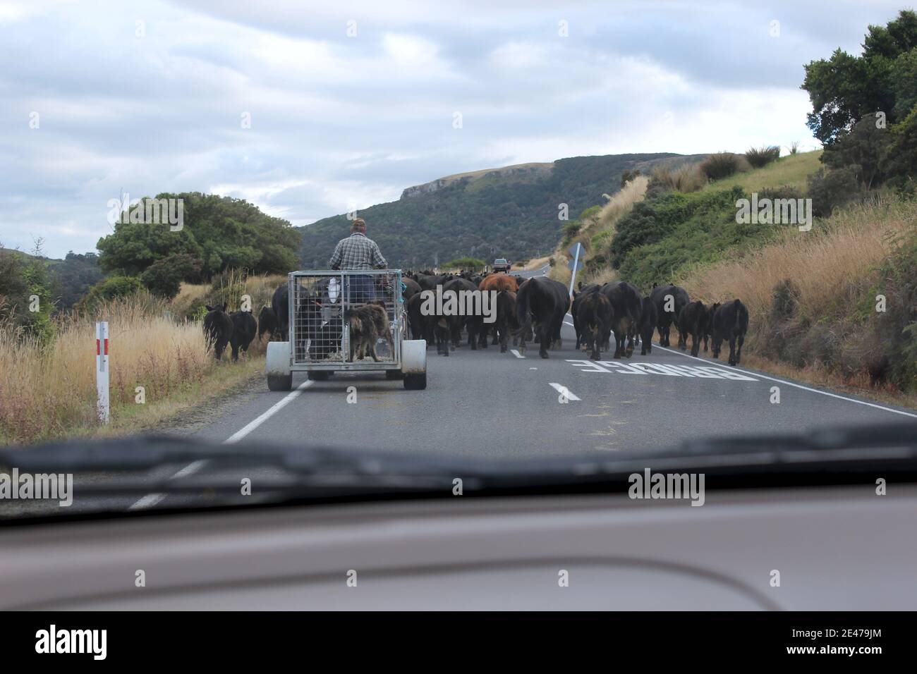 Road block New Zealand style Banque D'Images