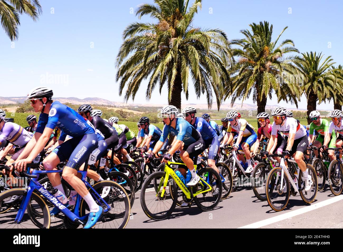 Les cavaliers participant à la première étape du Festival de Cyclisme Dans la Barossa Valley en Australie Banque D'Images