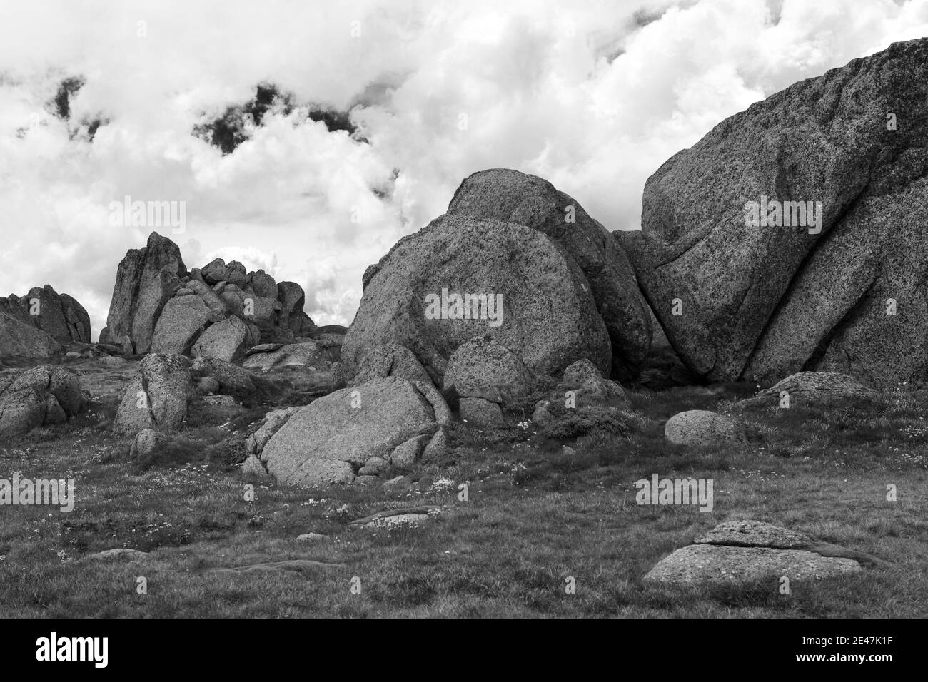 Parc national de Kosciuszko, Thredbo, Nouvelle-Galles du Sud, Australie Banque D'Images