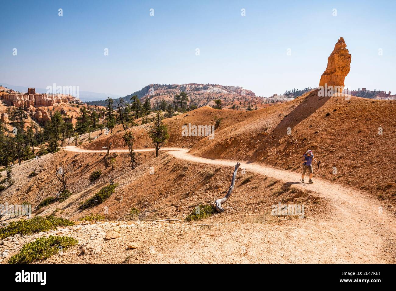 Une femme qui fait la randonnée sur le sentier Fairyland Loop Trail dans le parc national de Bryce Canyon, Utah, États-Unis. Banque D'Images