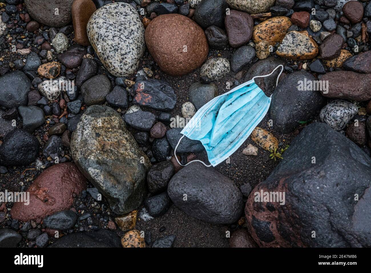Un masque facial jeté sur le lit de la rivière Nisqually près du parc national du Mont Rainier, Washington, États-Unis. Banque D'Images