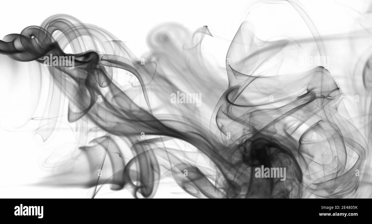 La fumée soyeuse abstraite curle sur fond blanc. Nettoyez le papier peint monochrome Banque D'Images