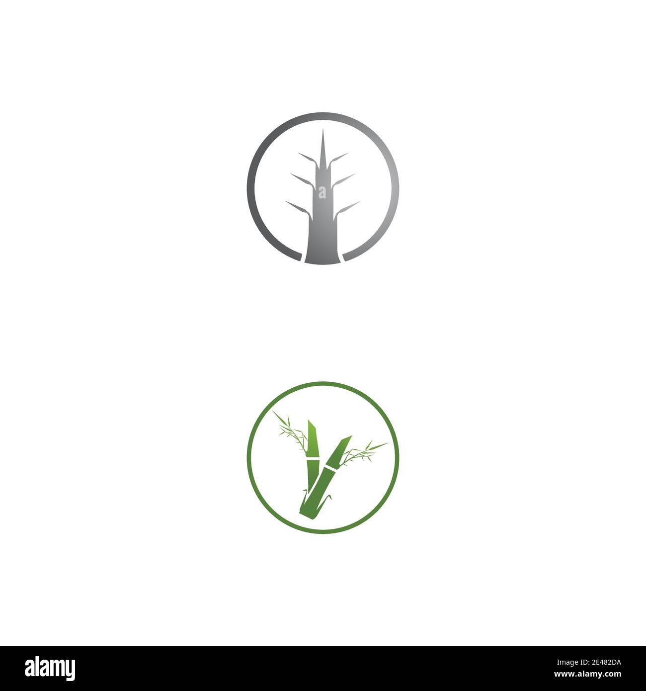 Logo vectoriel bambou modèle icône illustration design Illustration de Vecteur