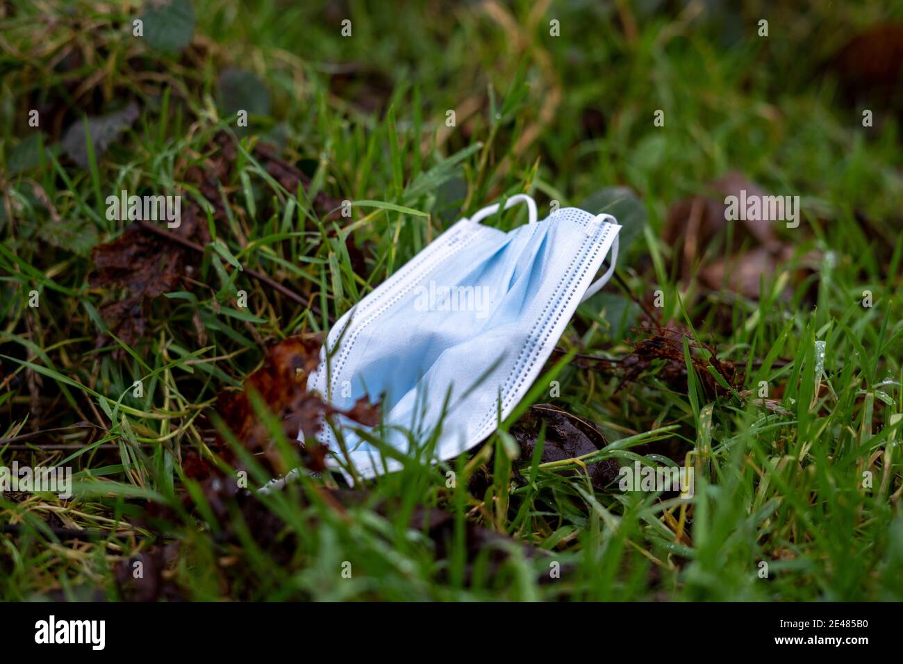 Plymouth, Royaume-Uni. 19 janvier 2021. Les masques à usage unique écartés deviendront un problème à long terme pour notre monde naturel. Banque D'Images