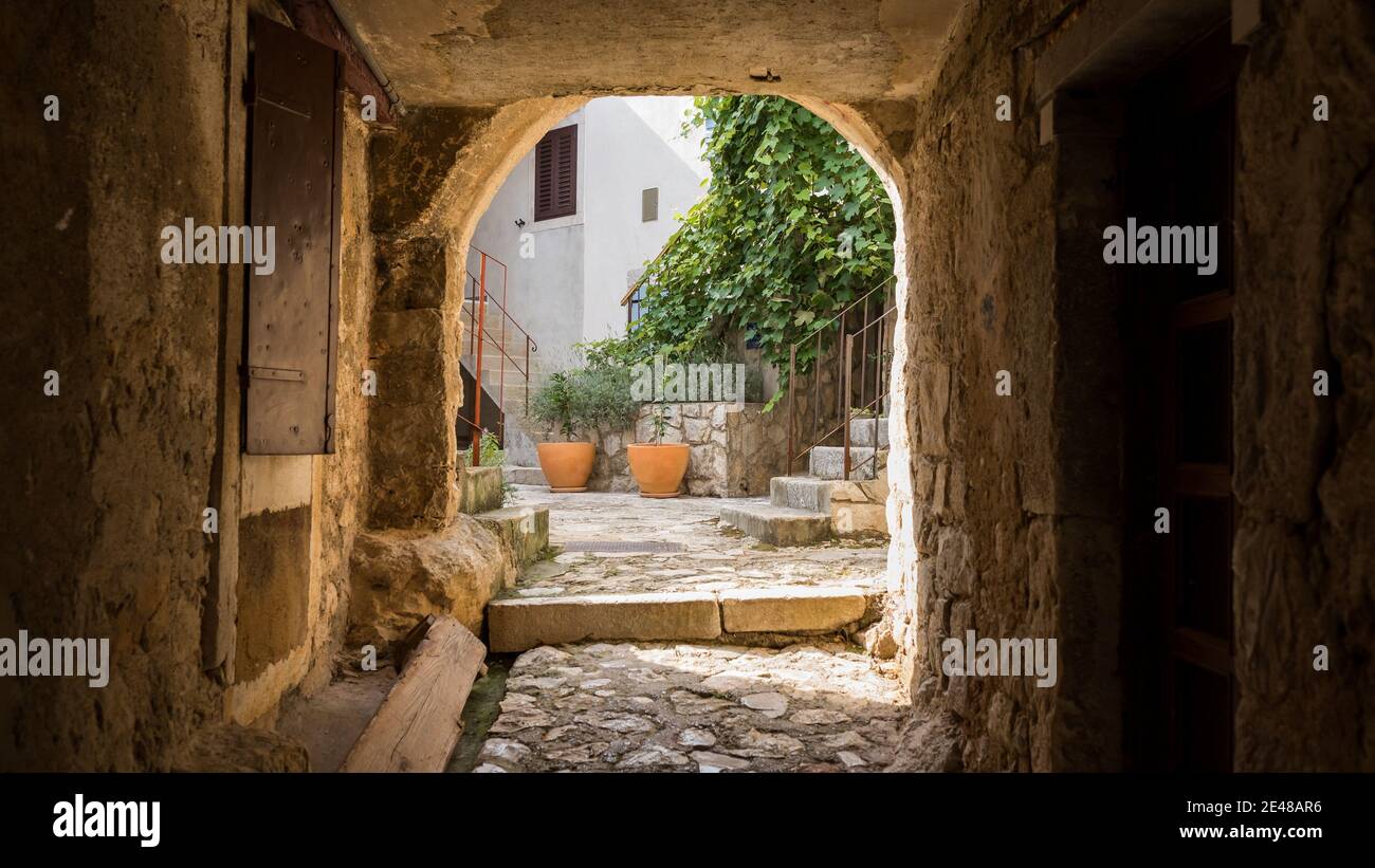 Belle photo d'un vieux bâtiment fait de briques avec un magnifique jardin avec des plantes vertes Banque D'Images