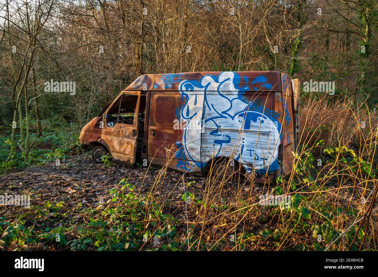 Vieille fourgonnette rouillée avec graffiti peint par pulvérisation abandonné dans les bois à Hurlfield près de Gleadless, Sheffield. Banque D'Images