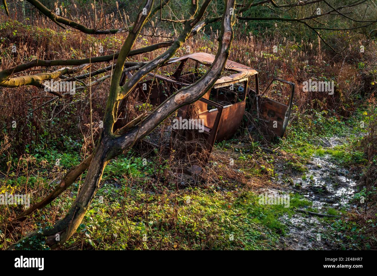 Vieille fourgonnette rouillée abandonnée dans les bois à Hurlfield près de Gleadless, Sheffield. Banque D'Images