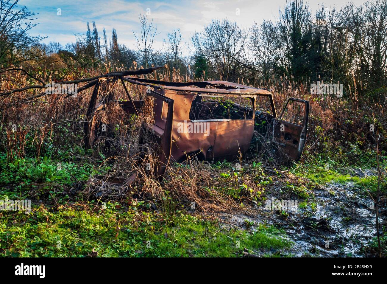 Vieille fourgonnette rouillée abandonnée dans les bois à Hurlfield près de Gleadless, Sheffield. Banque D'Images