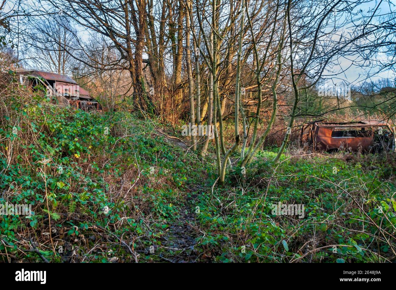 Vieux véhicules rouillés abandonnés dans les bois à Hurlfield près de Gleadless, Sheffield. Banque D'Images