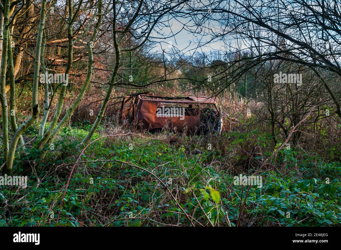 Vieille fourgonnette rouillée abandonnée dans les bois à Hurlfield près de Gleadless, Sheffield. Banque D'Images