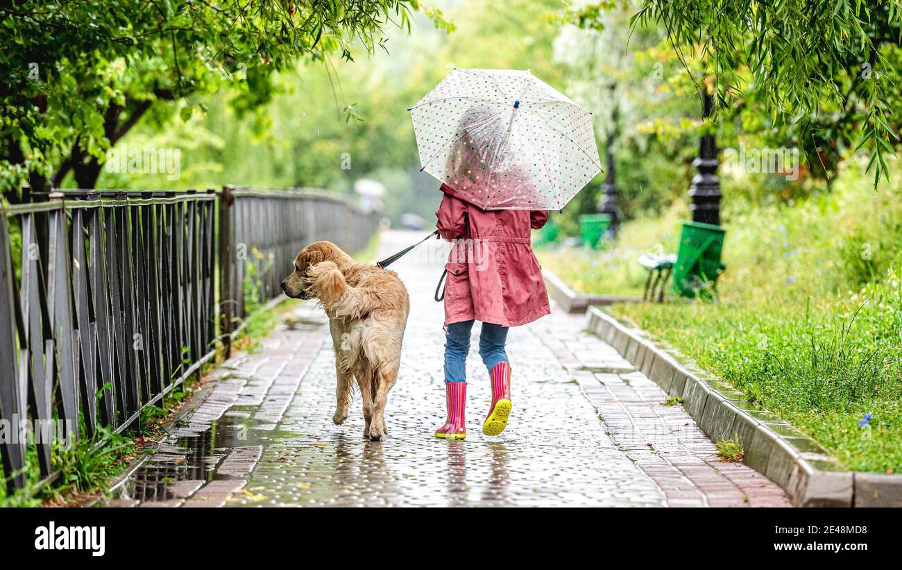 Petite fille marchant chien sous la pluie Banque D'Images