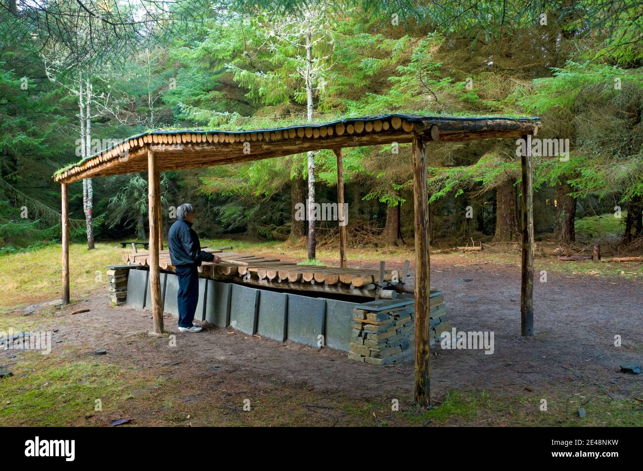 Xylophone géant jouable en sculpture, forêt Dunnett Caithness, Ecosse UK Banque D'Images