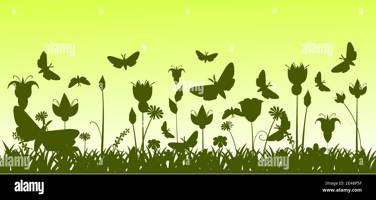 Silhouette d'une prairie en fleurs avec herbe, fleurs et papillons. Paysage vert. Illustration de dessin animé. L'arrière-plan de l'image. Magnifique naturel Illustration de Vecteur