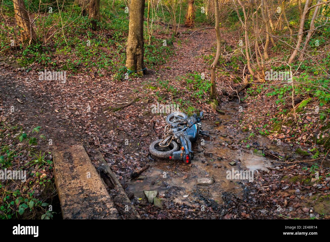 Moto survolée dans un petit ruisseau dans la forêt ancienne de Gleadless, Sheffield. Banque D'Images