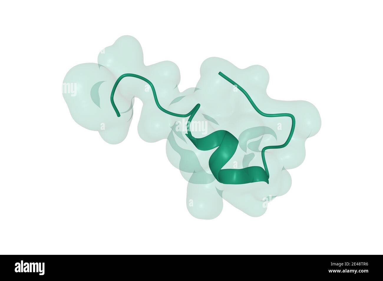 Structure de l'endothéline-1 humaine, un régulateur de l'hormone polypeptidique de la pression artérielle, modèle 3D de dessin animé de surface isolé, fond blanc Banque D'Images