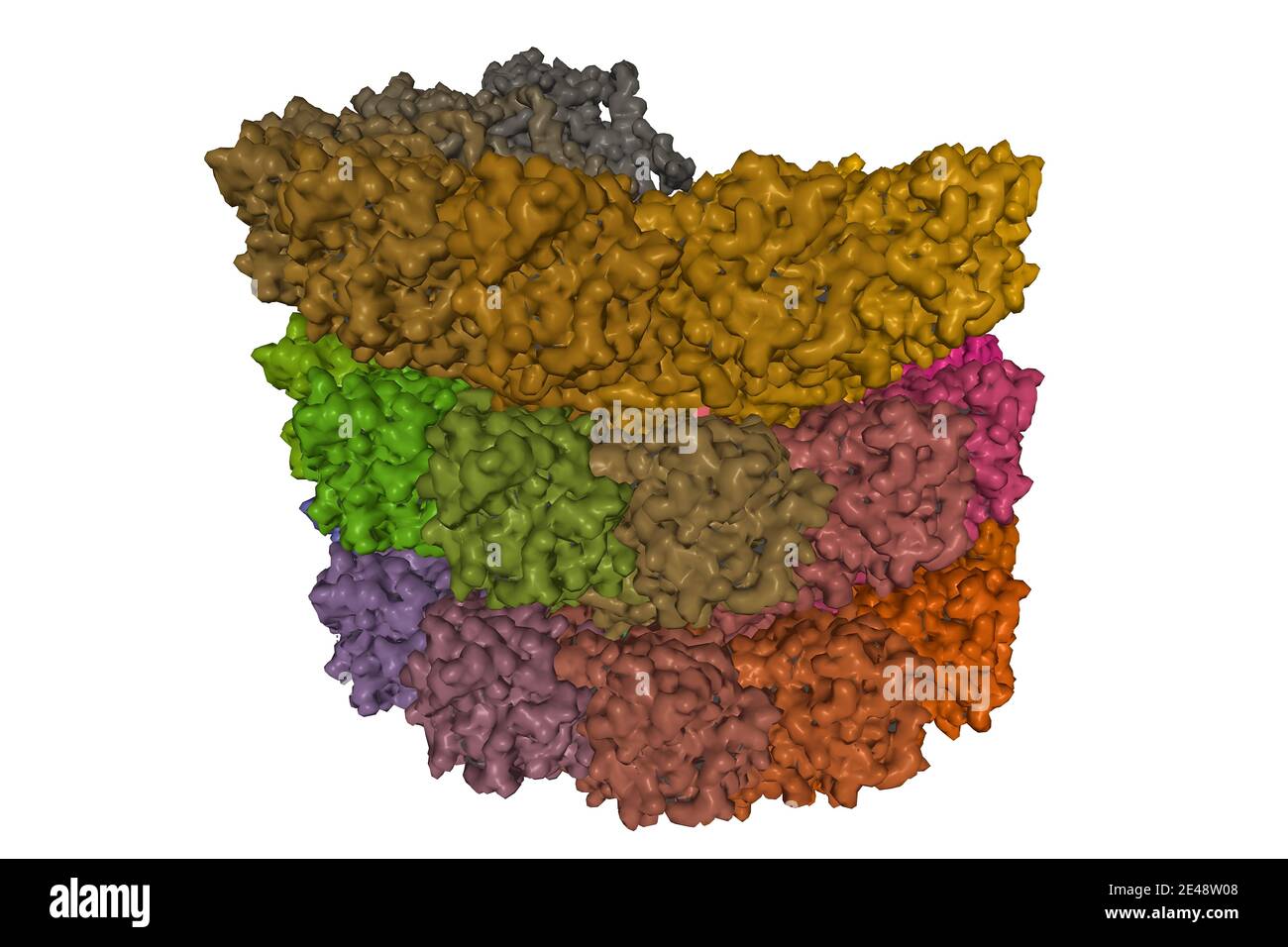 Structure de la nucléocapside hélicoïdale du virus de la rougeole, modèle de surface 3D, fond blanc Banque D'Images