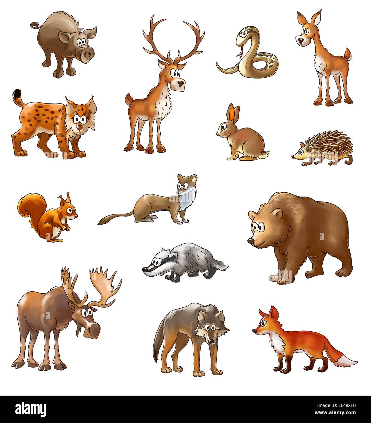 ensemble d'animaux en bois sauvage, animaux de dessin animé de couleur sur un fond blanc Banque D'Images