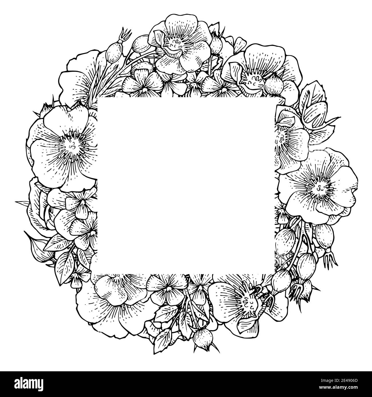 Fleurs de rosehip. Cadre rond. Illustration d'arrière-plan. Contour du dessin à la main. Floraison de plantes de jardin. Image abstraite de la plante. Vecteur Illustration de Vecteur