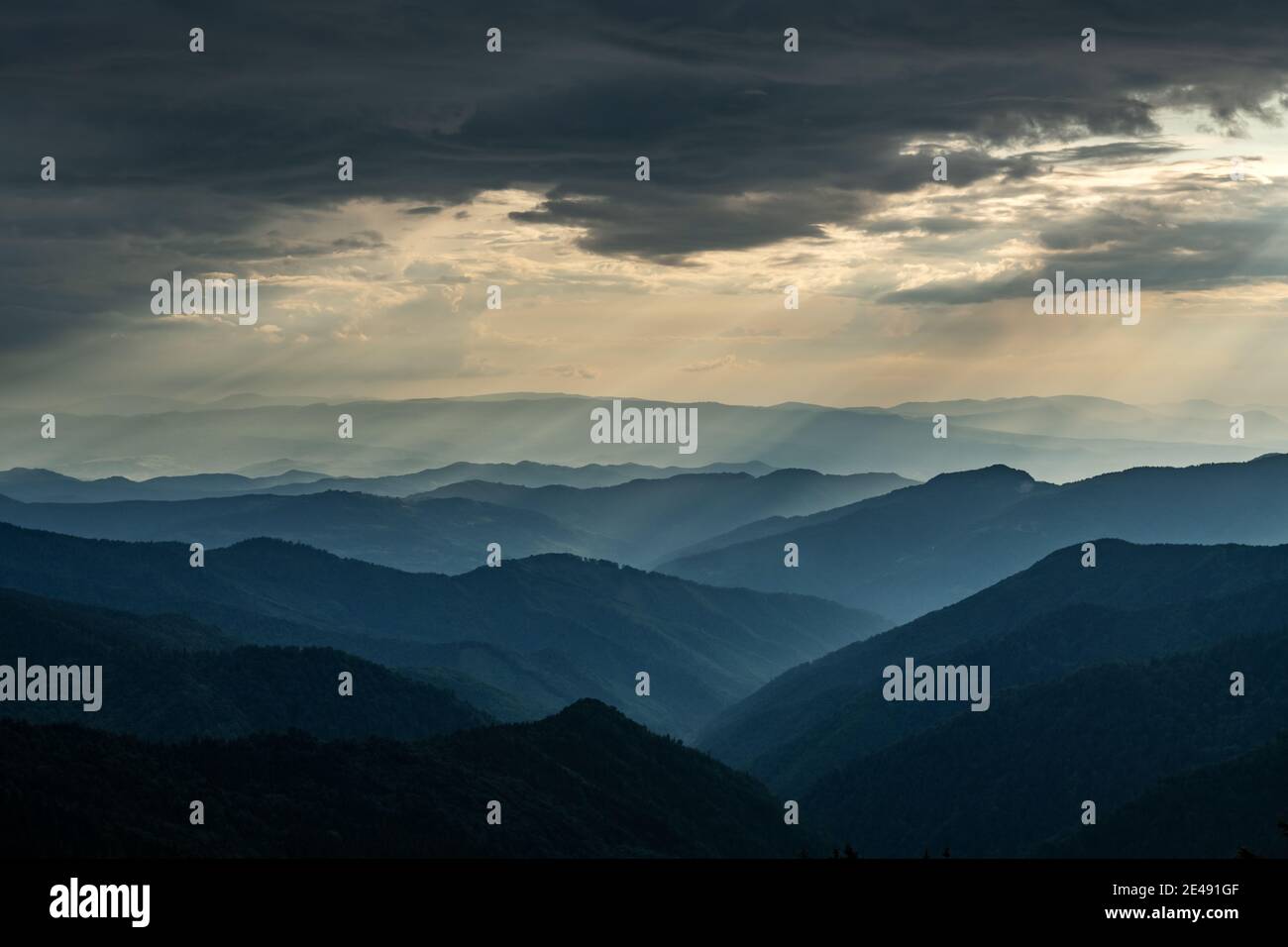 Brouillard du matin dans les montagnes du printemps. Magnifique lever de soleil sur fond. Photographie de paysage Banque D'Images