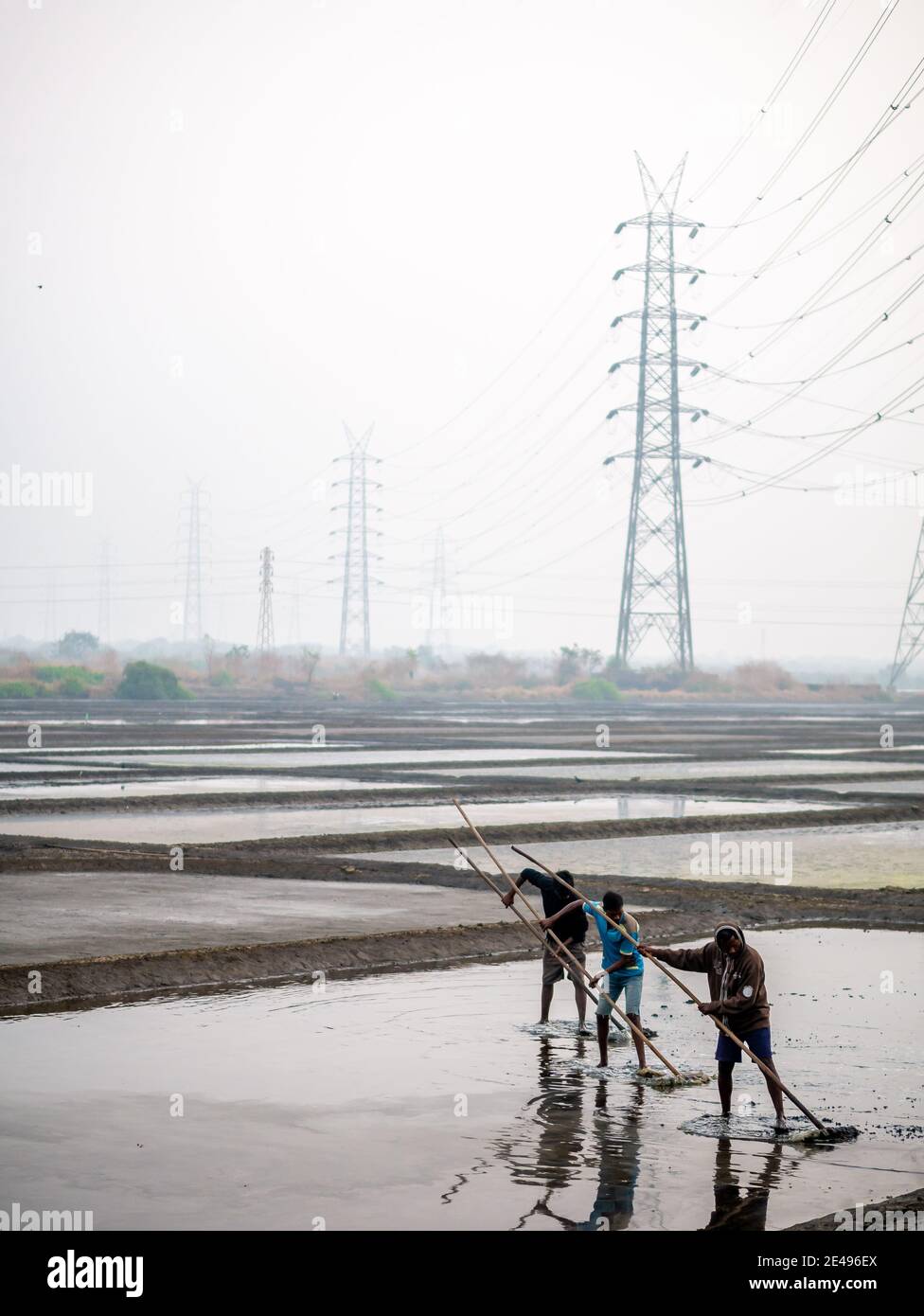MUMBAI, INDE - 17 décembre 2020 : ouvriers non identifiés dans une ferme de sel de mer et une grange avec des lignes électriques haute tension en arrière-plan Banque D'Images