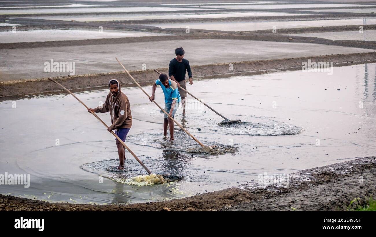 MUMBAI, INDE - 17 décembre 2020 : travailleurs non identifiés dans la ferme et la grange de sel de mer Banque D'Images