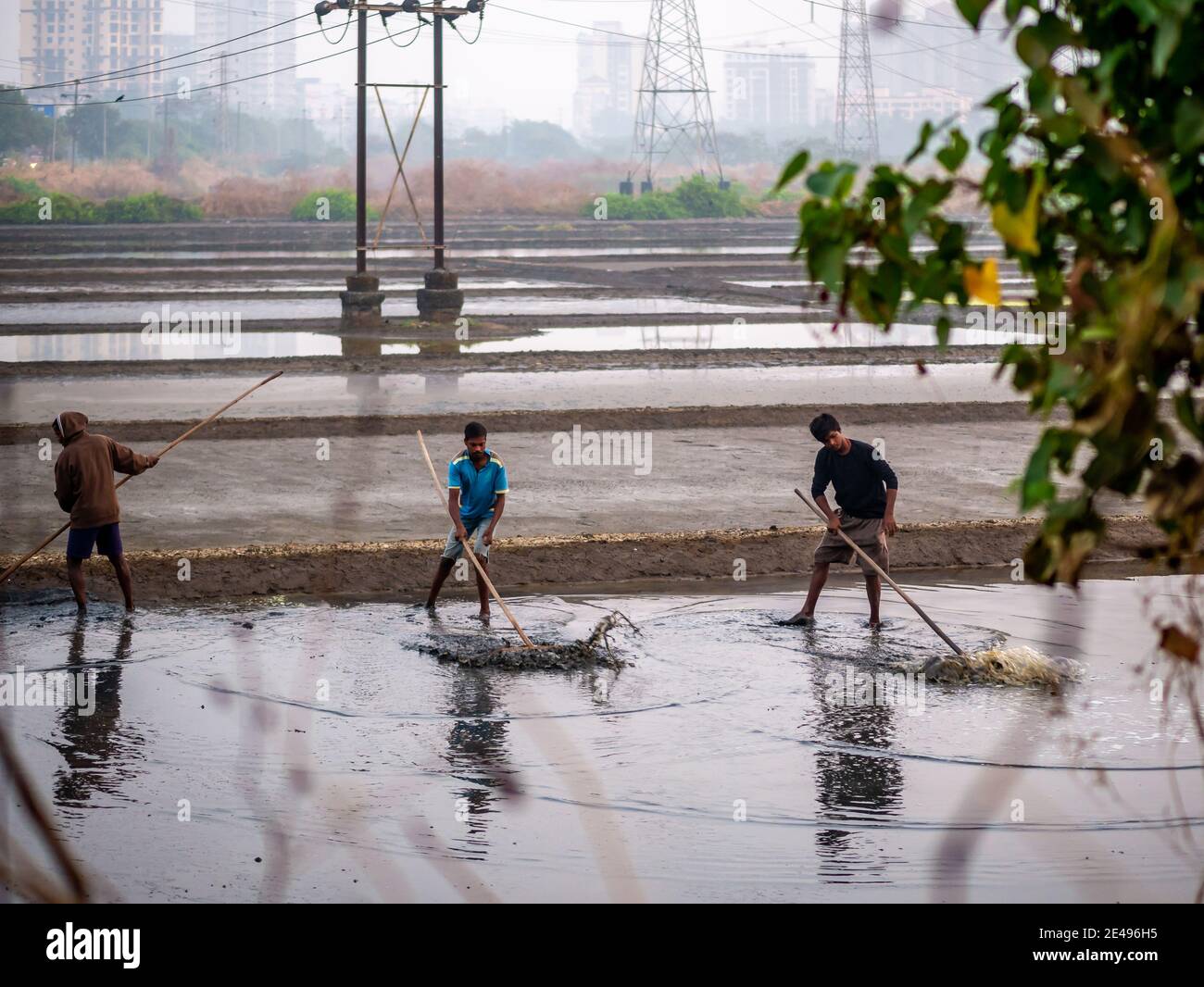 MUMBAI, INDE - 17 décembre 2020 : travailleurs non identifiés dans la ferme et la grange de sel de mer Banque D'Images
