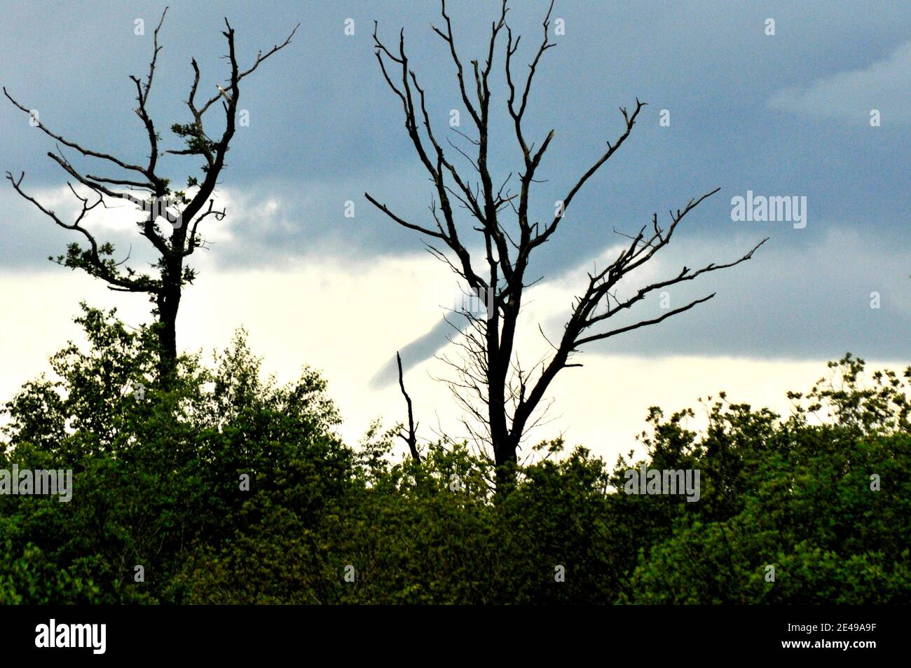 Un nuage d'entonnoir ou un petit retordeuse ou tempête de vent se forme dans les nuages orageux au-dessus des niveaux de Somerset le 7 mai à 2.48pm dans 2012.Somerset. ROYAUME-UNI Banque D'Images