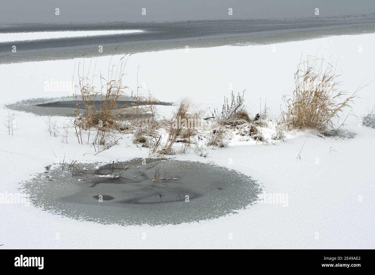 Lac gelé avec herbes couvertes de neige Banque D'Images