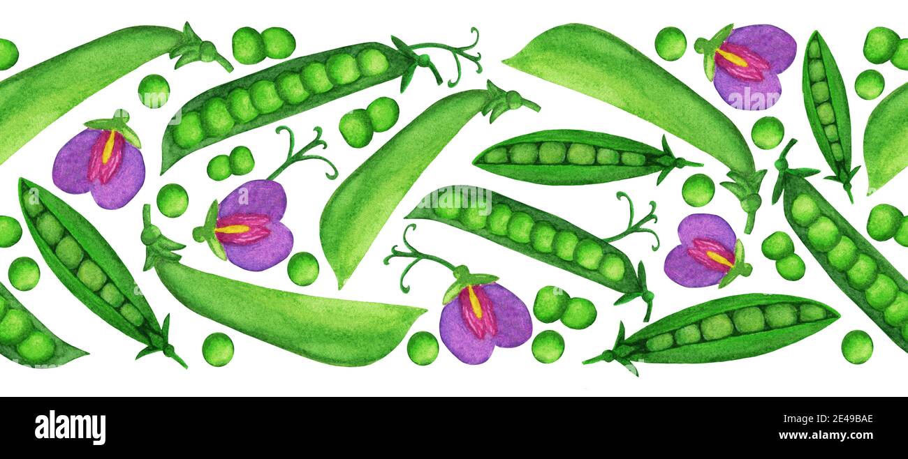 Bordure sans couture pois vert aquarelle Banque D'Images