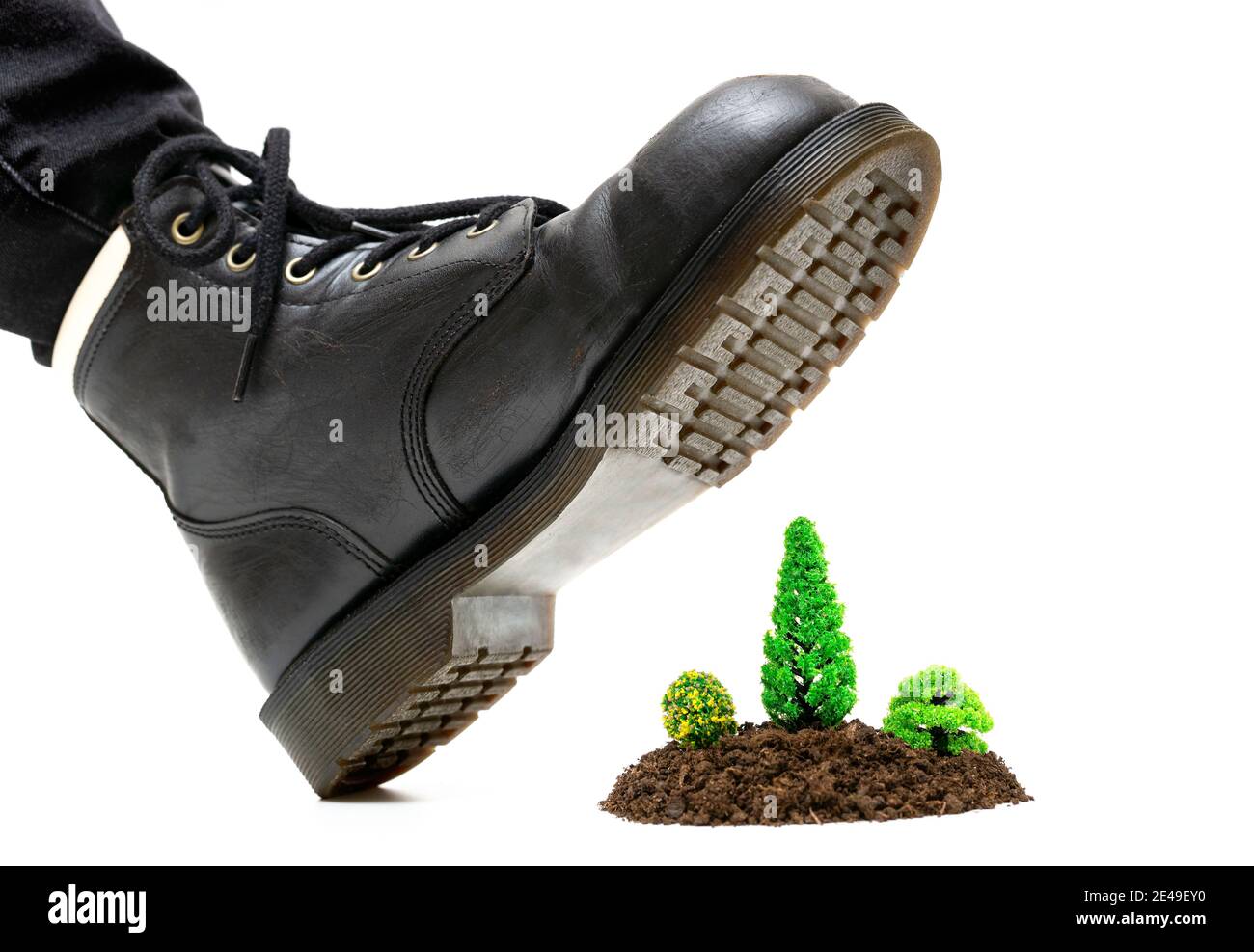 Pied humain portant un pied de travail sur une forêt miniature faite de terre et d'arbres en plastique. Un concept d'empreinte écologique de l'humanité. Banque D'Images