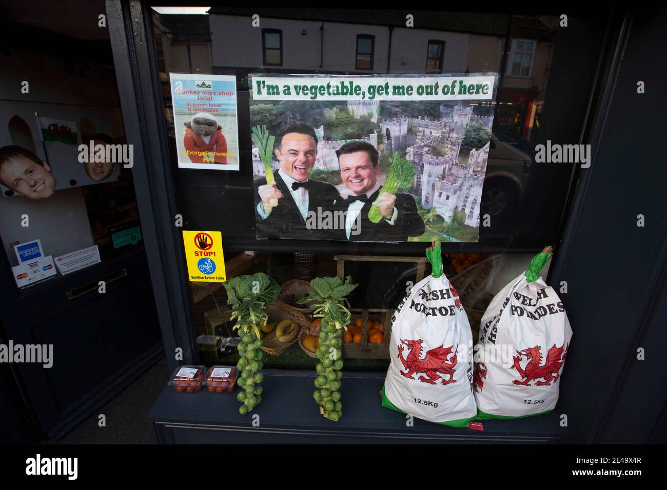 Un magasin à Abergele, dans le nord du pays de Galles, décoré en hommage à l'émission de télévision Je suis UNE célébrité Obtenez-moi d'ici, qui est filmé dans le château de Gwrych, à la périphérie de la ville. Il a été signalé que des espèces non indigènes d'insectes comme les cafards se sont échappées de l'ensemble et ont trouvé leur chemin dans l'environnement local. Banque D'Images