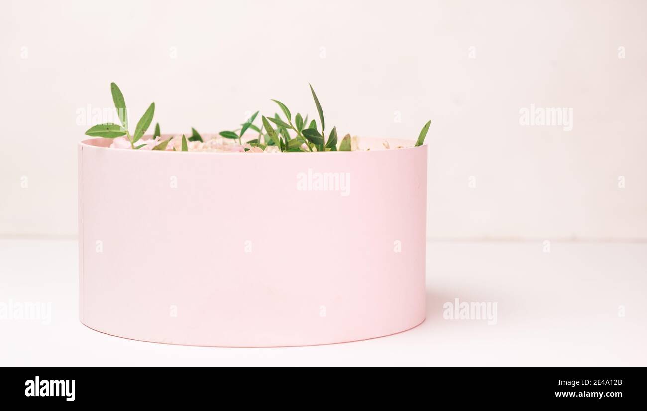 Une fleur élégante et délicate dans une boîte ronde à chapeau sur fond rose avec espace de copie. Boîte cadeau pour le 8 mars, Journée internationale de la femme Banque D'Images