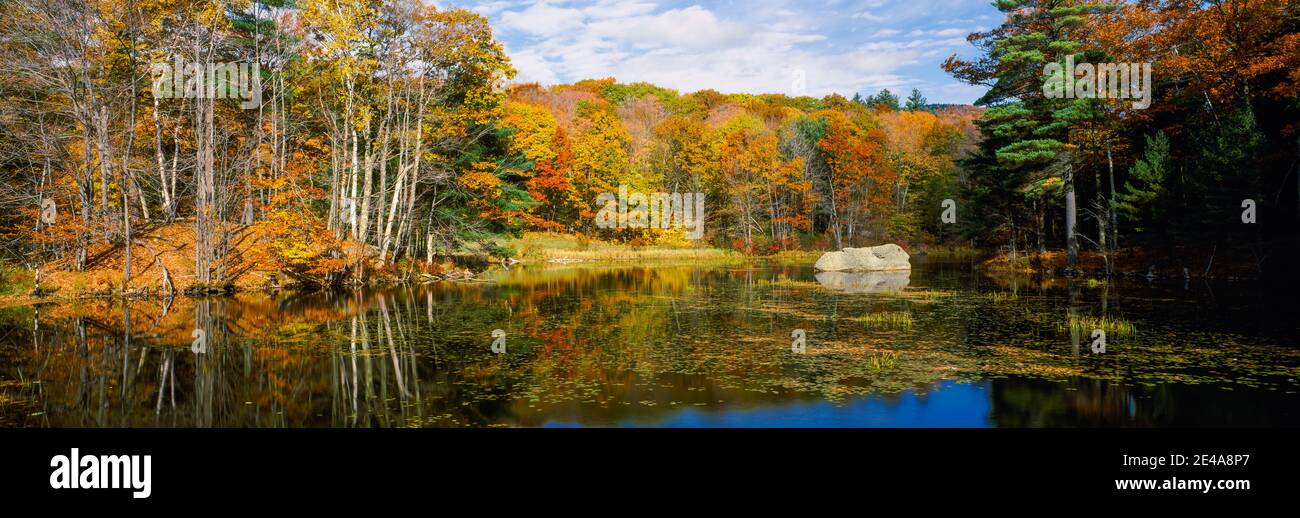 Arbres au bord du lac en automne, Hancock, région de Monadnock, New Hampshire, États-Unis Banque D'Images