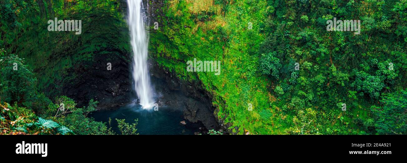 Vue panoramique sur une chute d'eau, les chutes d'Akaka, le parc national d'Akaka Falls, le comté d'Hawaii, Hawaï, États-Unis Banque D'Images