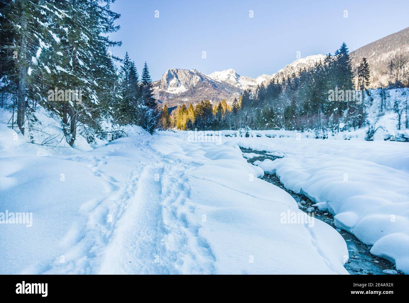 Le fleuve Tagliamento près de la ville alpine italienne de Forni Di Sopra recouvert de neige en hiver (Jan 2021) Banque D'Images