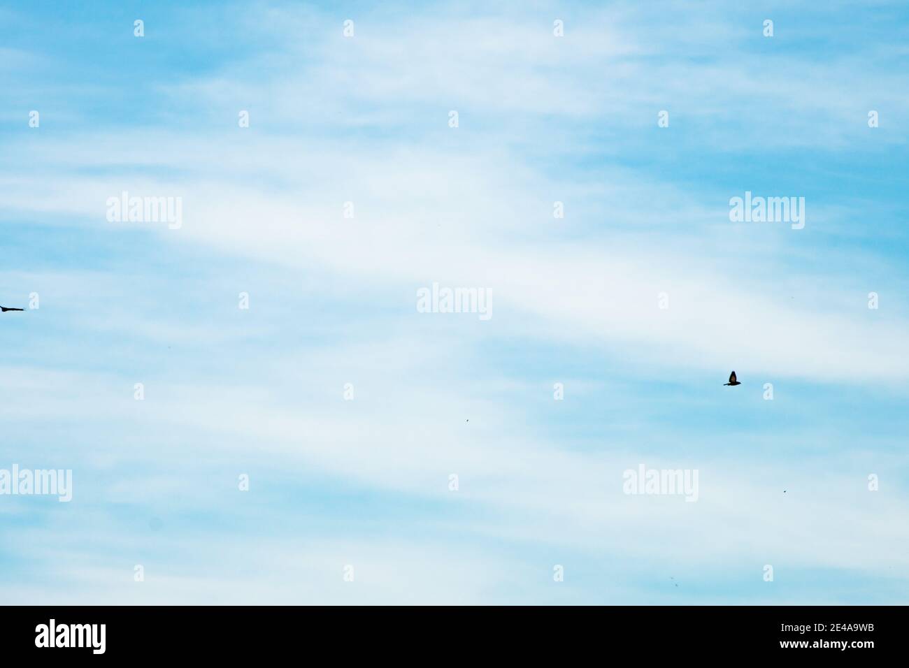 Fond de Ciel bleu avec de beaux nuages Banque D'Images
