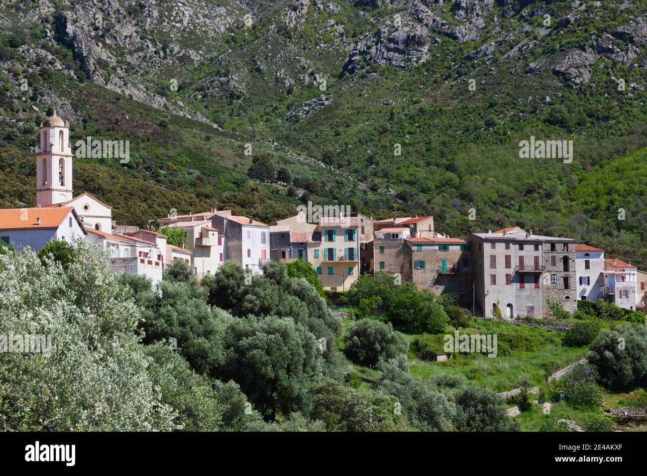 Bâtiments dans une ville, Zilia, la Balagne, haute-Corse, Corse, France Banque D'Images