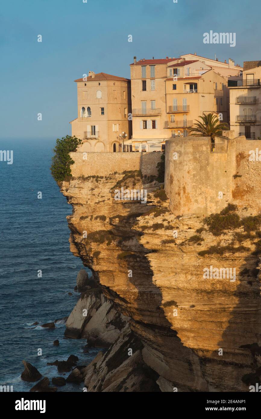 Maisons sur une falaise, Bonifacio, Corse-du-Sud, Corse, France Banque D'Images