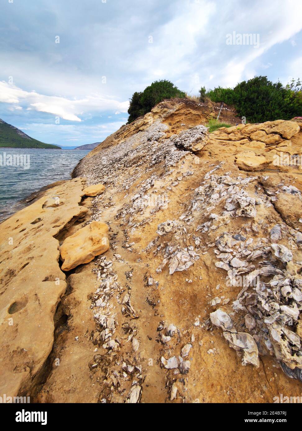 Les falaises de Mitikas sont une caractéristique géologique. Des milliers de coquilles pétrifiées couvrent les roches de grès, la mer Ionienne, le centre de la Grèce Banque D'Images